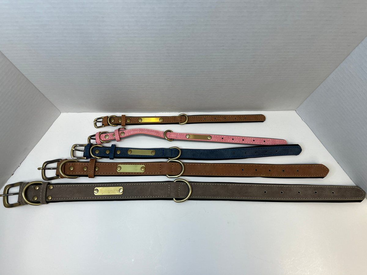 Leather Dog Collar with Brass Name Plate by Thomsen Customs